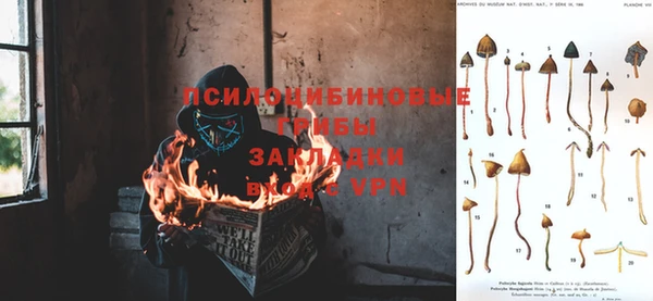 мет Алексин