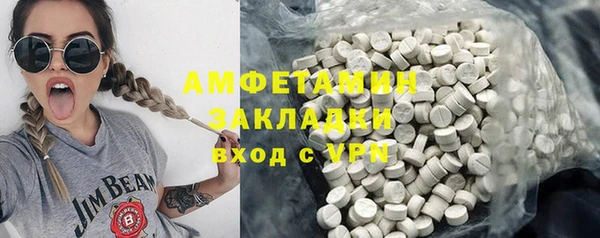 мет Алексин
