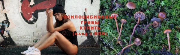 МДПВ Алзамай