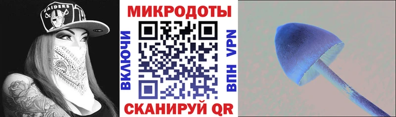 mega ссылки  Ардон  Галлюциногенные грибы GOLDEN TEACHER 